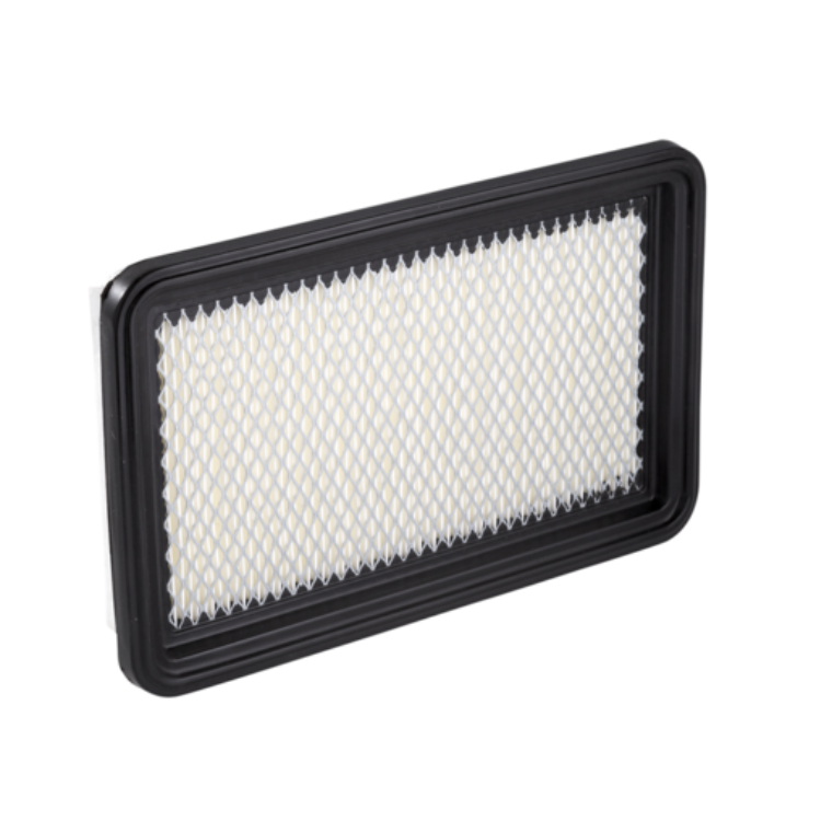 AIR FILTER; RYCO (A29033)