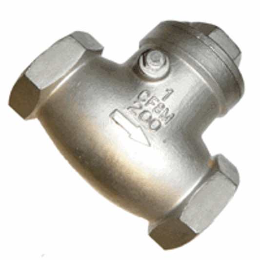 1BSP 316SS SWING CHECK VALVE