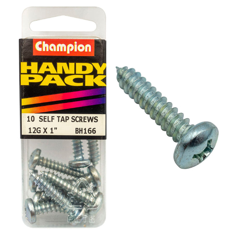 12G X 1'' SCREW PACK-S/TAP PAN HEAD