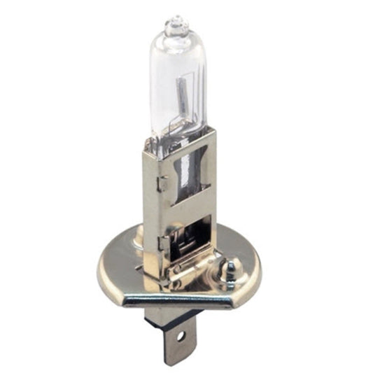 H1 12V 55W GLOBE