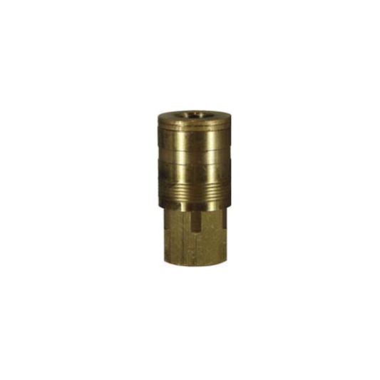RYCE 200 1/4BSP FEM COUPLER